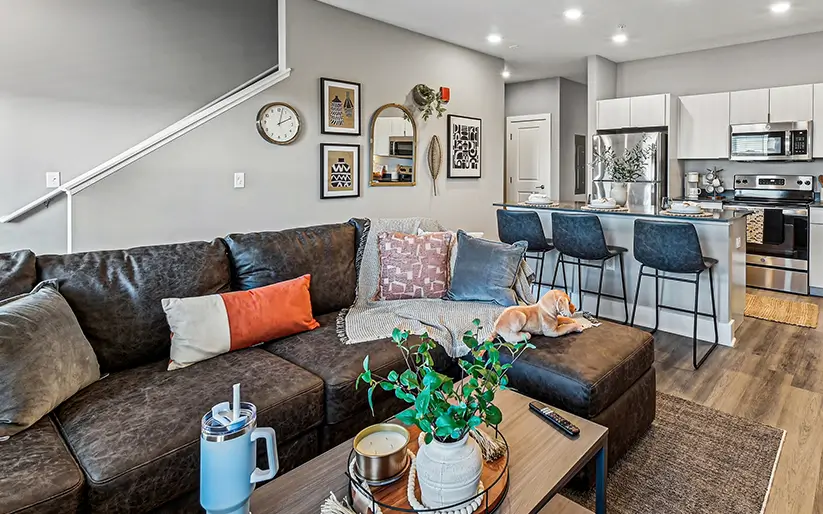 furnished living space